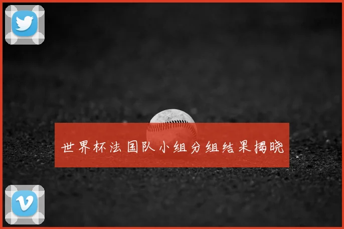 世界杯法国队小组分组结果揭晓