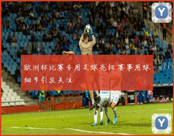 欧洲杯比赛专用足球亮相 赛事用球细节引发关注