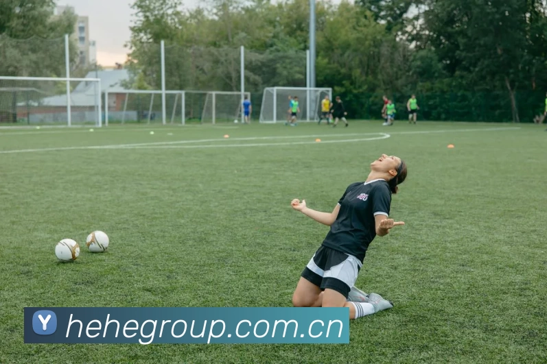 开云网页版登录入口 - 开云中国APP 封面图